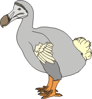 Dodo illustration on white background
