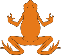 Golden toad illustration