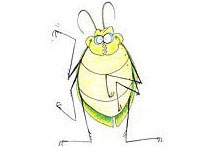 illustration beetle