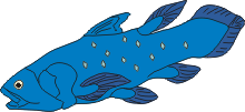 Illustration coelacanth