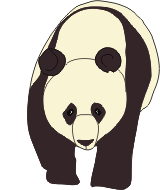 illustration giant panda