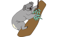 Illustration of koala on white background