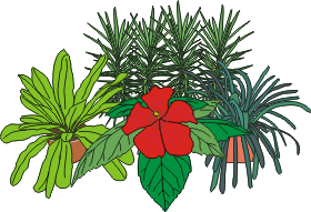 Illustration of plants on white background