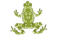 Illustration of toad on white background