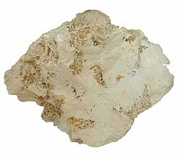 Limestone on a white background