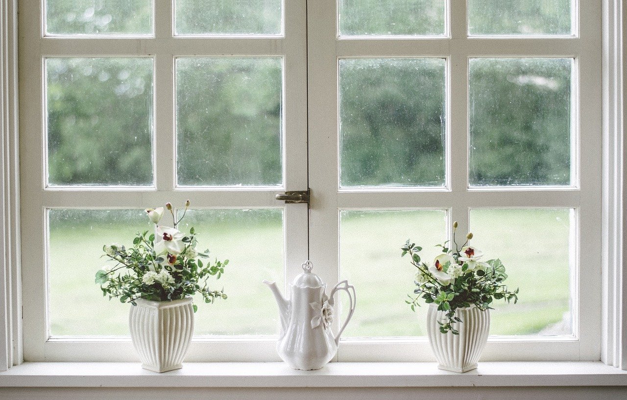 white window plants