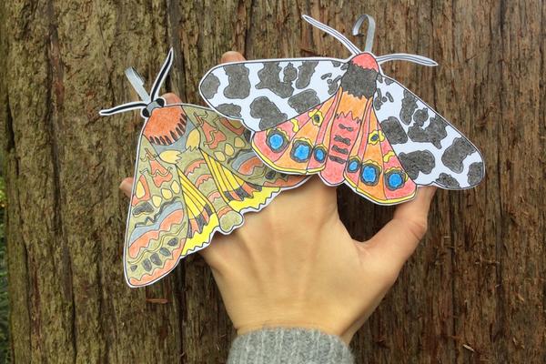 pic 2 to advertise moth finger puppets