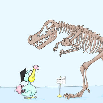 Cartoon of a 'Professor' dodo looking up at a T. rex skeleton