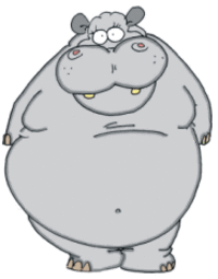 illustration hippopotamus